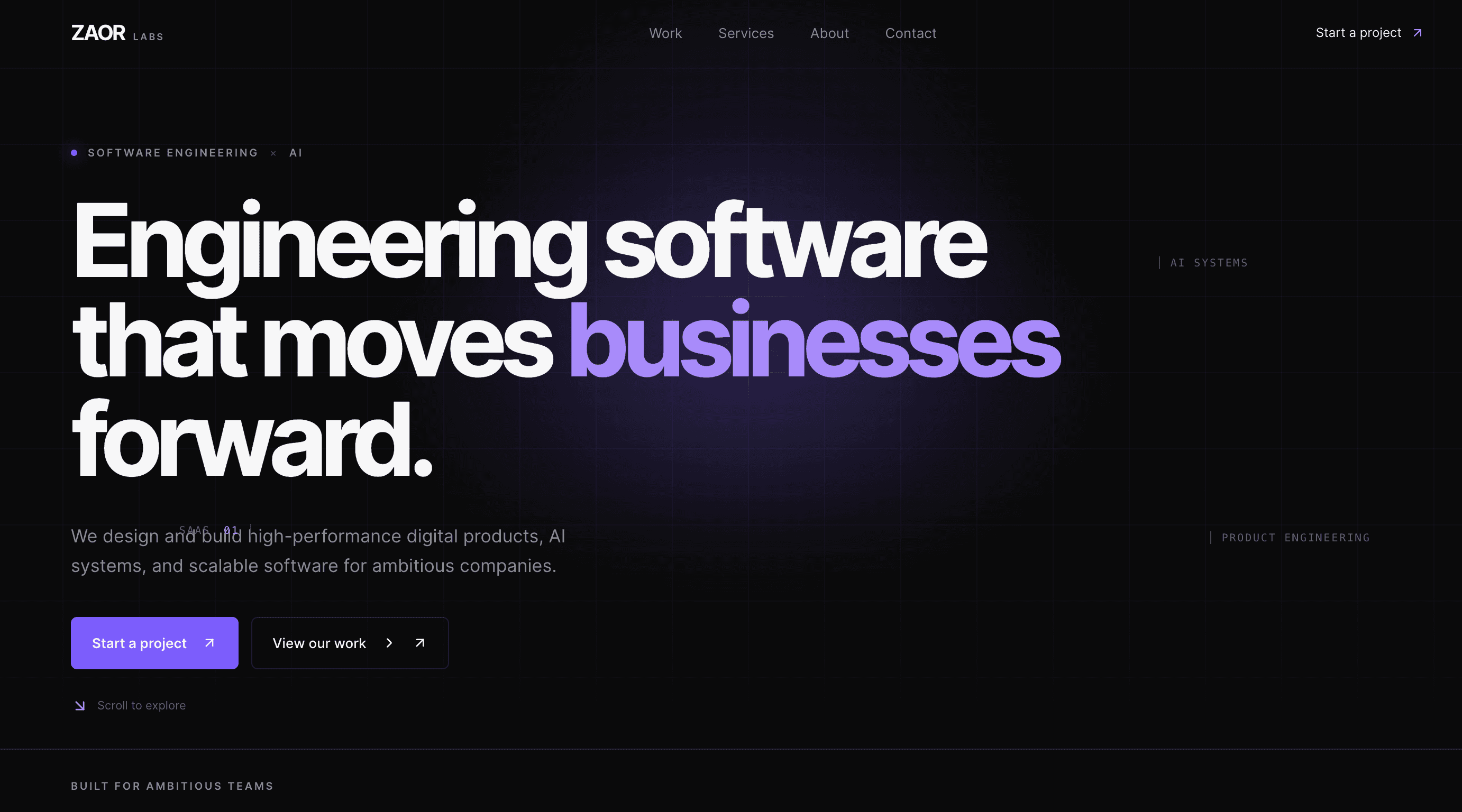 ZAOR LABS - Agency Portfolio & CMS